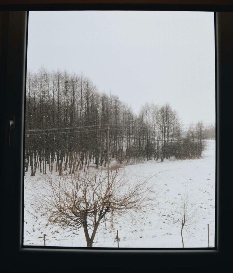 Eko Zagroda Bocianie Gniazdo Mikołajki Luaran gambar